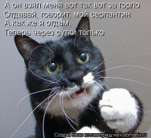 Котоматрицы на Новый год
