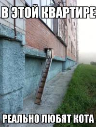 И крыс=)