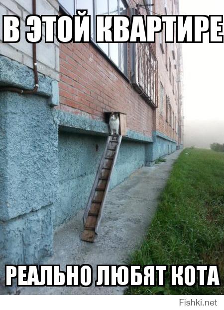 И крыс=)