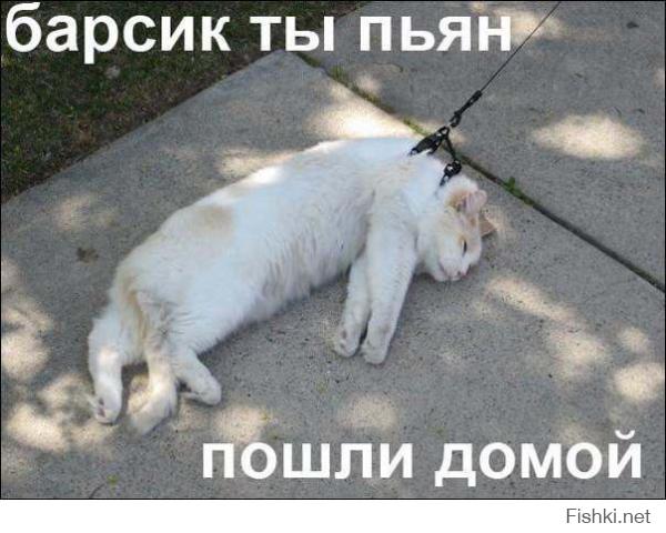 Гифки дня