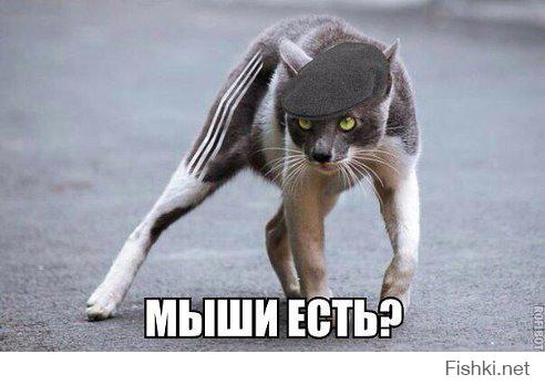 Старые друзья