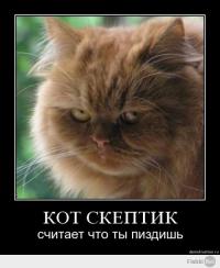 Когда останавливает полиция
