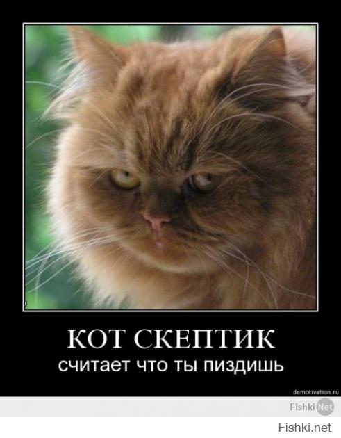 Когда останавливает полиция