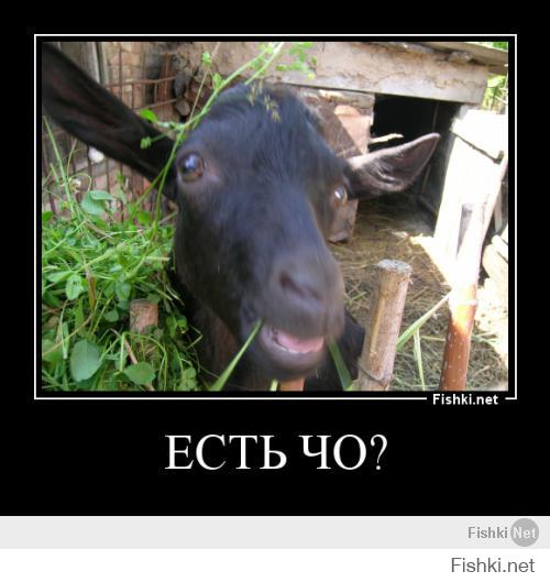 Отредактируйте мою фотку в редакторе