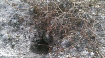 та самая воронка. Похоже на противопехотную мину? Шарик конечно старается хозяев отмазать, но тут не тот вариант.