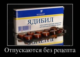 Безбашенный водитель из Индии
