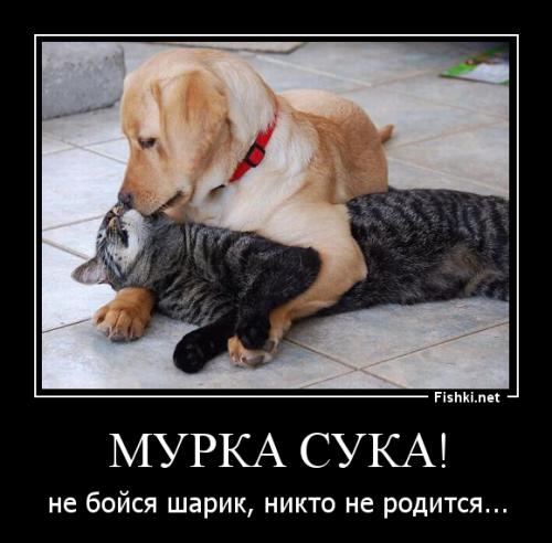 Это сделало его счастливым
