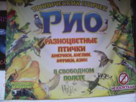 а вот у нас в городе...