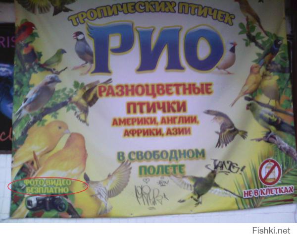 а вот у нас в городе...