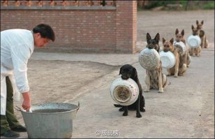 как такое возможно? вот умняшки)