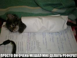 Шаурма