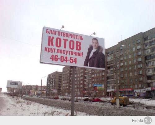 Кошка которая любит стоять!