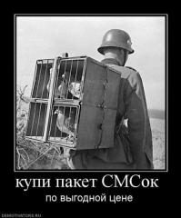 первое ПВО. Точнее радио глушилка, чтобы сообщения не дошли. У него там соколы или ястребы чтоли?