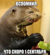это для детей