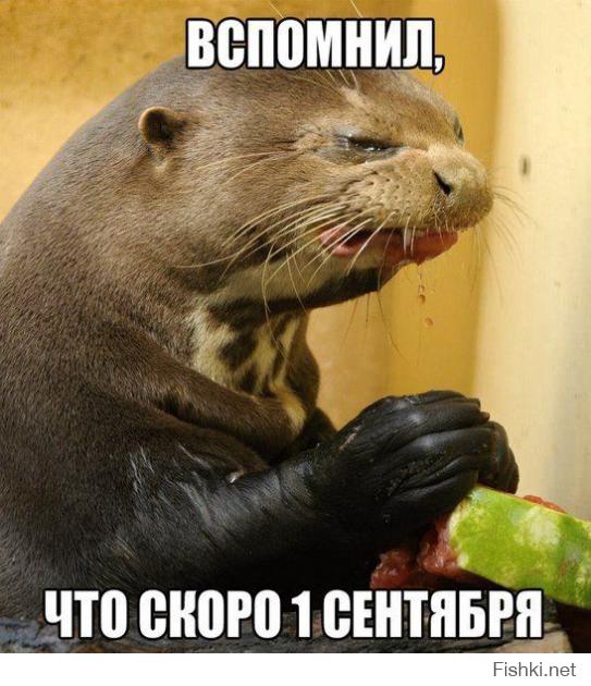 это для детей