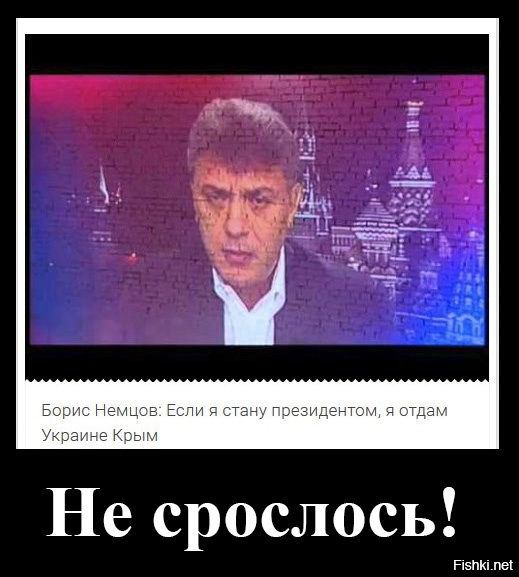 http://s.fishki.net/upload/users/434203/201503/05/59ba59ab1ed3a5086da6e5bdc3b97605.jpg