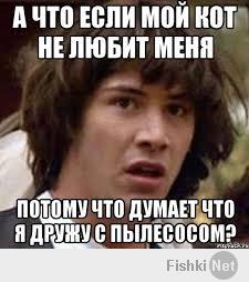 Котэ испугался :)