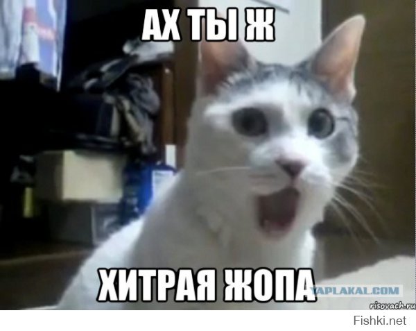 Когда не хочется работать