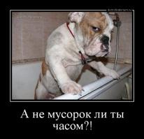 А Кед и Чех два бота! Одно лицо!