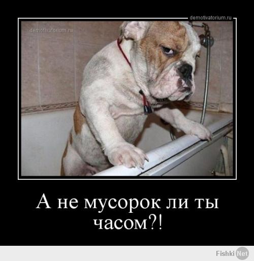 А Кед и Чех два бота! Одно лицо!