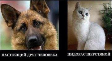 Был пойман