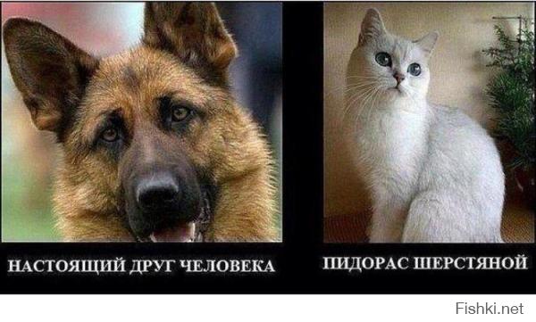 Был пойман