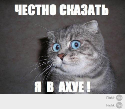 Таня, дави педали в пол!