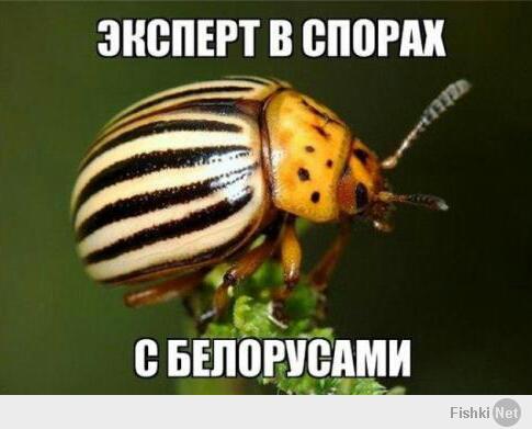 Скоро на всех огородах страны...