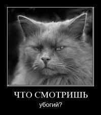 Котобояны