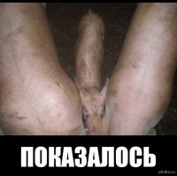 Показалось