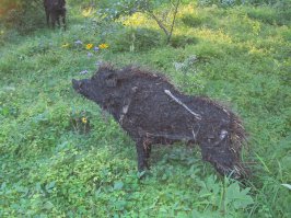 Ботанический сад в Монреале