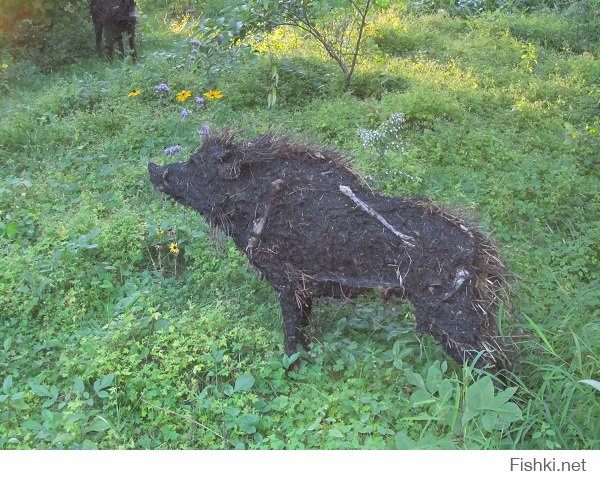 Ботанический сад в Монреале