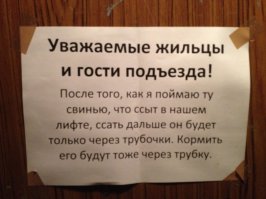Смешные надписи и объявления