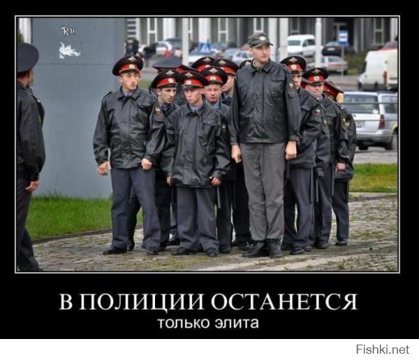 Эта веселая полиция!