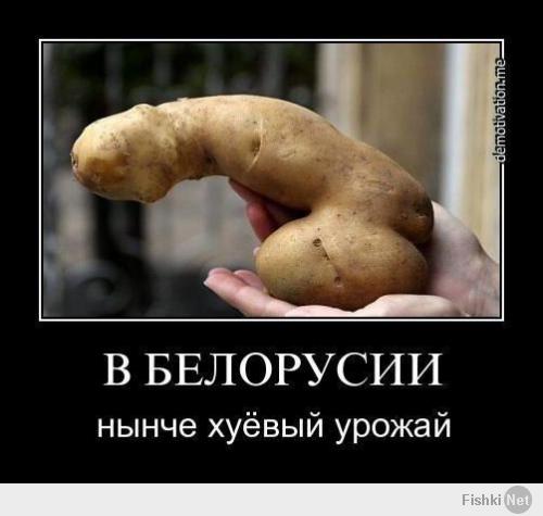 Это Беларусь...