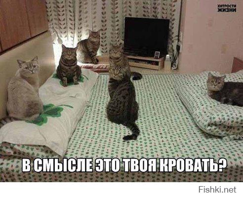 Картинки со смешными подписями