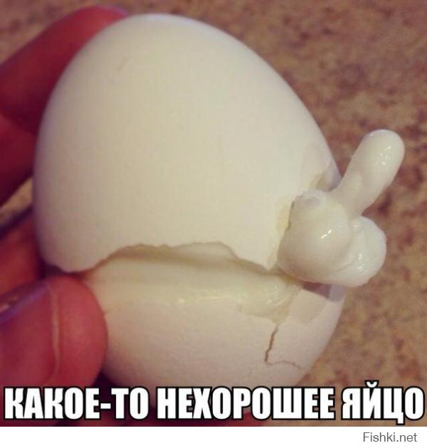 Картинки со смешными подписями