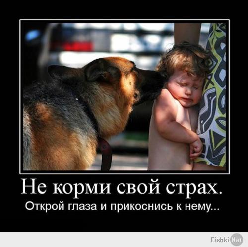 демотвари