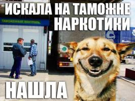 Фишкина солянка за 05.10.2014