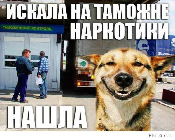 Фишкина солянка за 05.10.2014