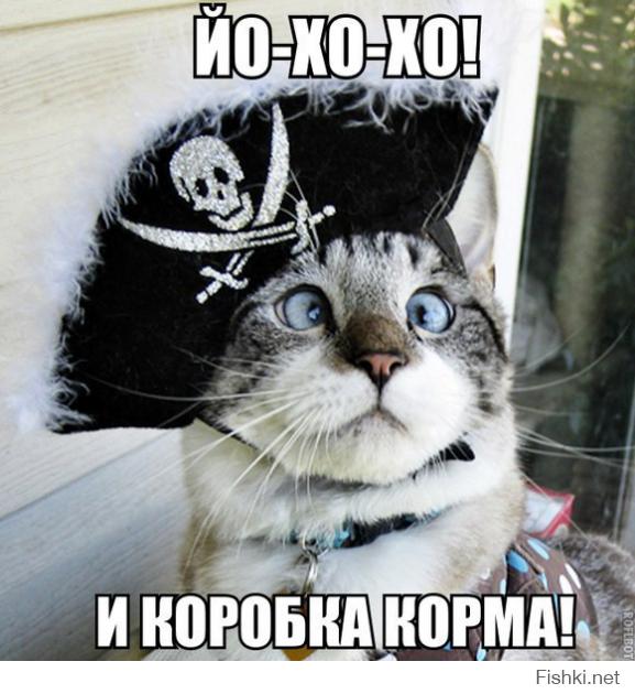 Правила кошачьего этикета