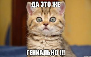 Самый умный