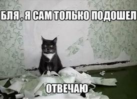 Собака-подляка
