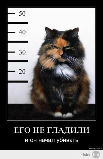 Котейка просит не уходить от него