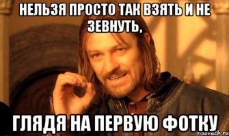 Котик, который очень любит спать