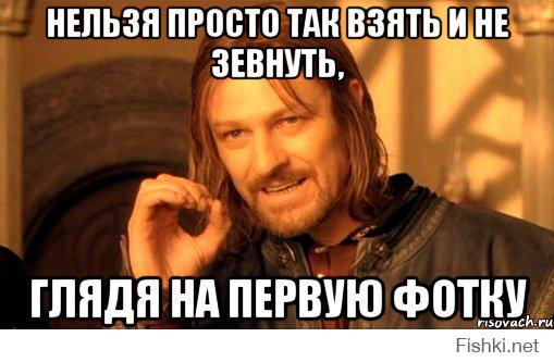 Котик, который очень любит спать