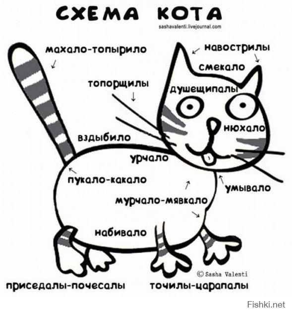 Кошачий пост