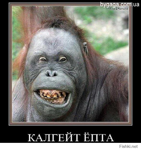 Гении рекламы