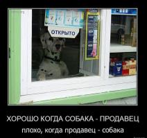 Самый симпатичный продавец
