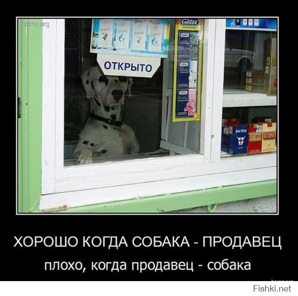 Самый симпатичный продавец